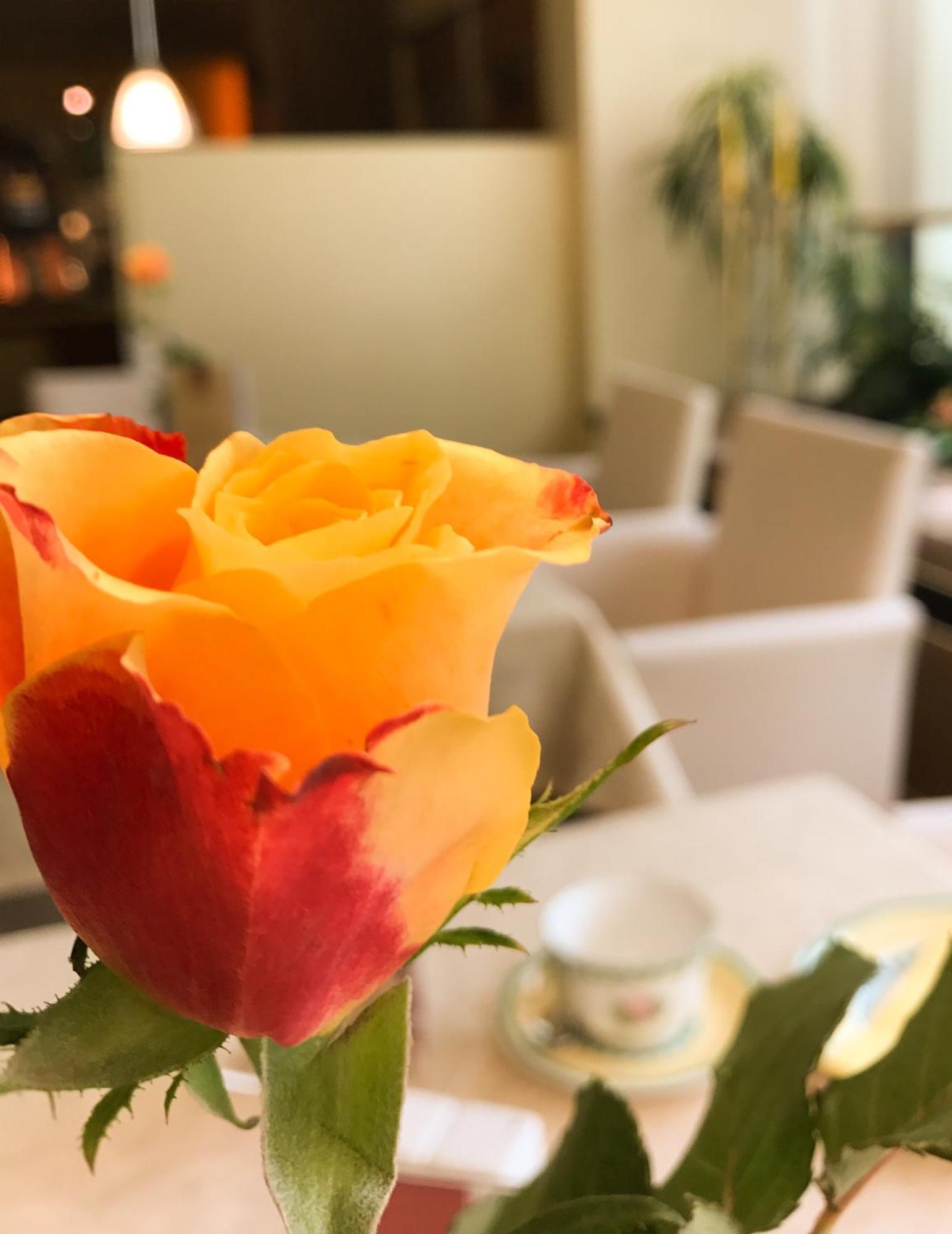 City Hotel Ost Am Koe Augsburg Ngoại thất bức ảnh